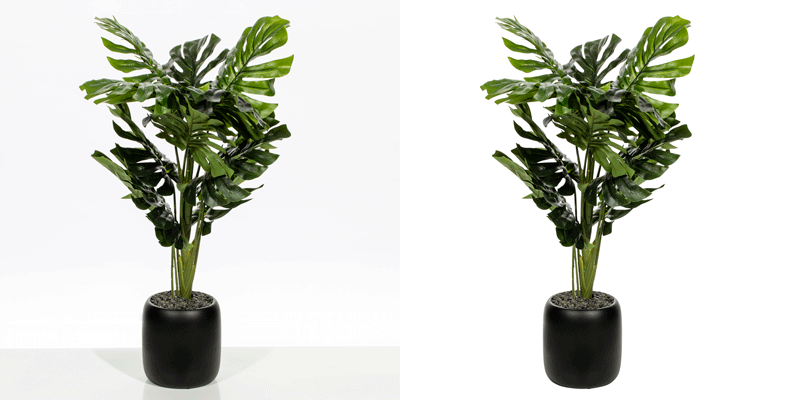 Clipping Path Dhaka Clipping Path Image